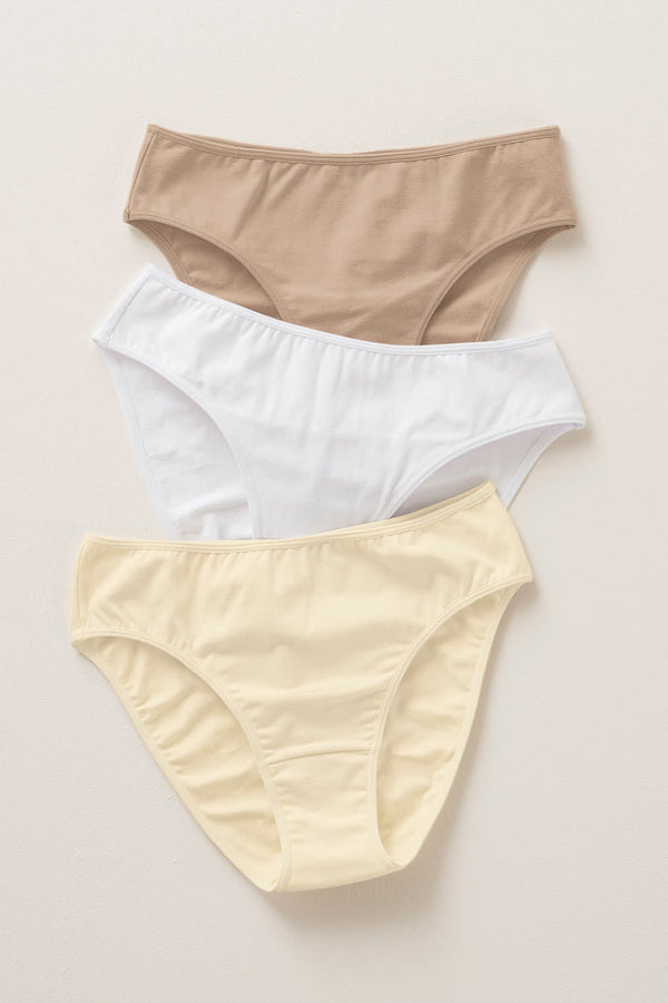 Leonisa 3-pack Stretch Cotton Mid-rise Bikini Panties
