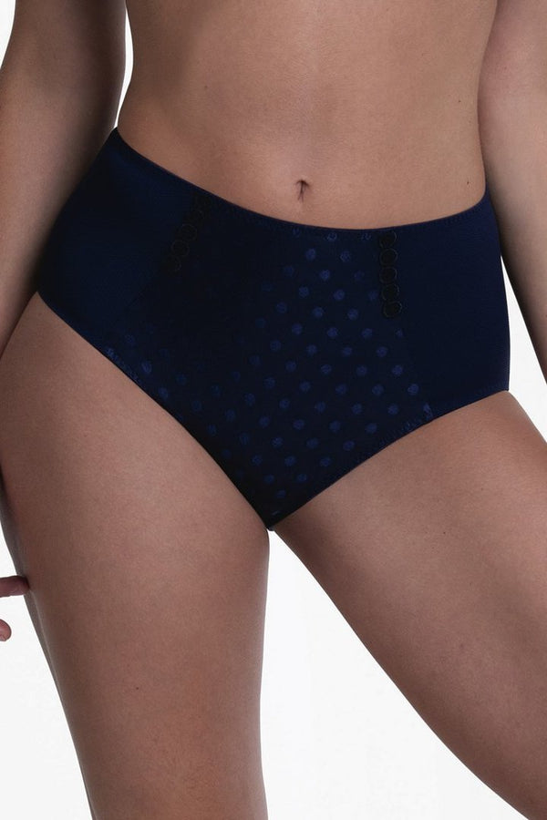 Anita Airita High Waist Briefs+