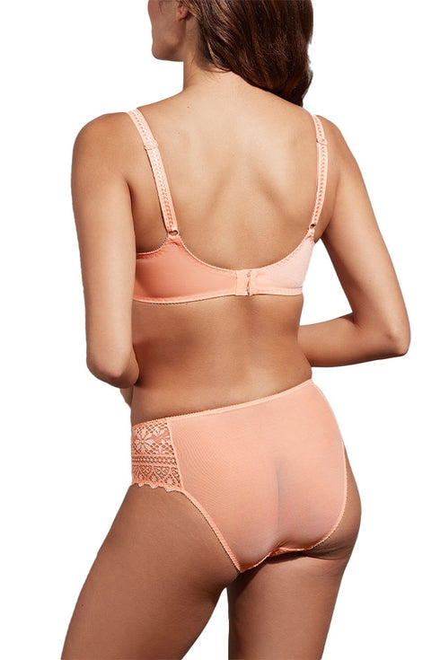 Empreinte Cassiopee Brief