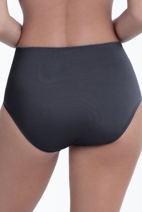 Anita Leni High Waist Briefs+