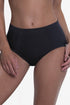 Anita Leni High Waist Briefs+