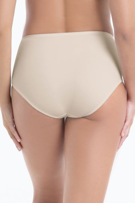 Anita Leni High Waist Briefs+