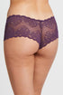 Montelle Lace Cheeky Panty