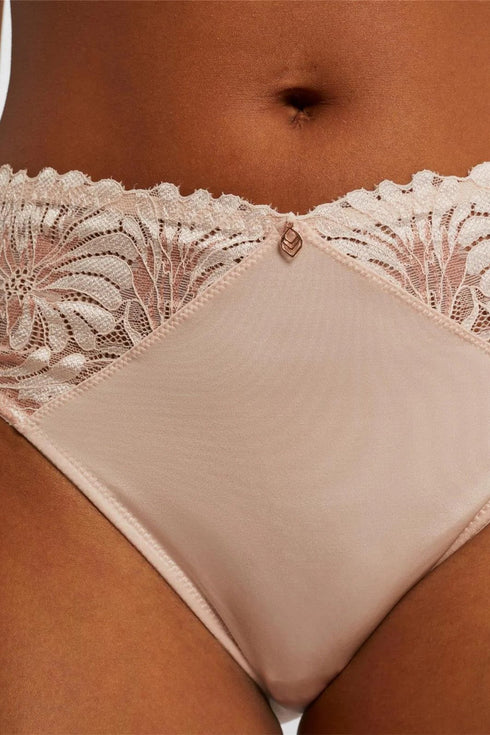 Montelle Anniversary Brief