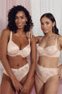 Montelle Anniversary Pure Plus Bra