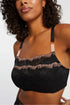 Montelle Dolce Vita Bandeau Muse Bra