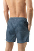 Mey Serie Crane Swarm Swim Short