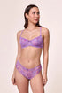 Montelle Signature Lace Brazilian