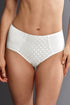 Anita Airita High-waist Briefs+