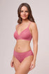 Montelle Nudies High Cut Brief