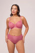 Montelle Nudies Modern Brief