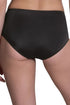 Anita Havanna High-waist Briefs+