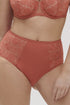 Simone Perele 1C2 Amazone Deep Brief