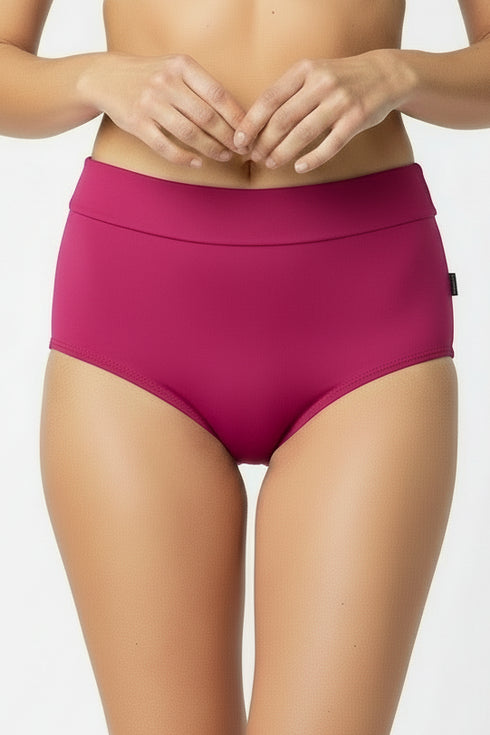 Shan Classique Classic high waist bikini bottom