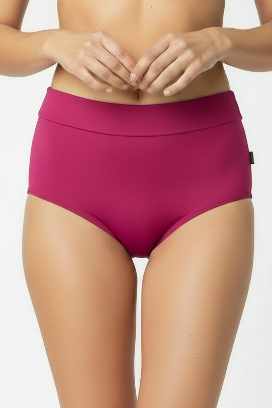 Shan Classique Classic high waist bikini bottom