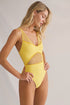 Shan Charlie Grid Mesh Plunging One-Piece