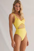 Shan Charlie Grid Mesh Plunging One-Piece