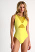 Shan Charlie Grid Mesh One-Piece With A High Collar