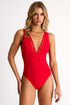 Shan Charlie Mesh detailed plunging one-piece swimsuit - 42695-03-300