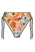 Shan Сlassique Classic Classic Mid-rise Bikini Bottom
