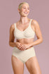 Anita Leni High Waist Briefs+