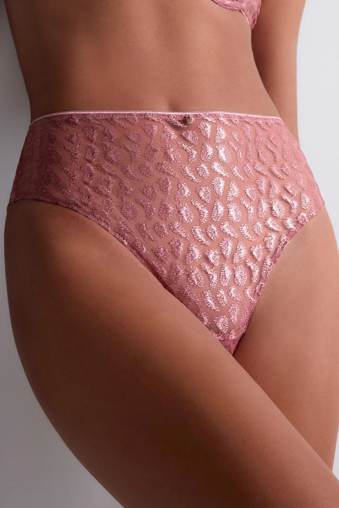 Aubade Crazy In Love High-waist brief