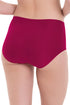 Anita Essentials High Waist Briefs+