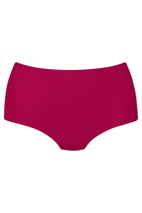Anita Essentials High Waist Briefs+