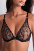 Aubade Cosmic Romance Triangle