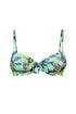 Rosa Faia Orchid Dream Eleonore Bikini Top