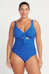 Artesands Aria Cezanne D-E Cup Underwire One Piece