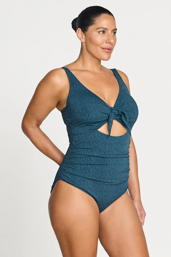 Artesands Minque Cezanne D - E Cup Underwire One Piece