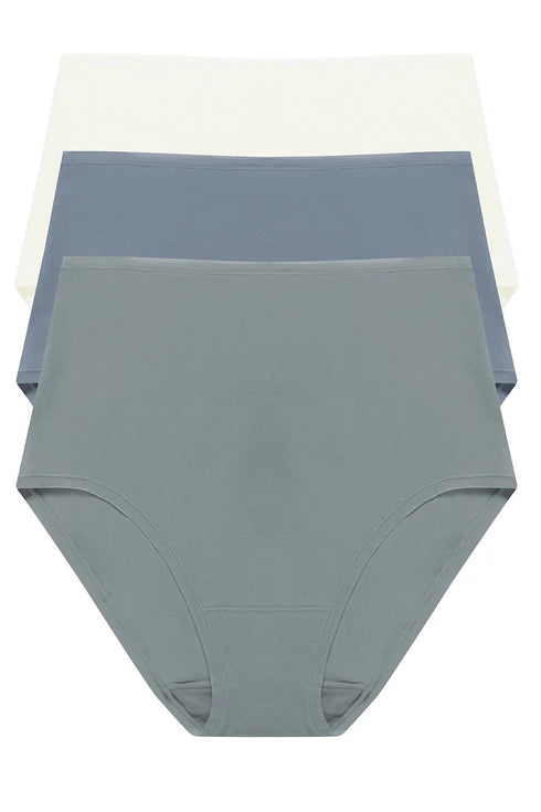Natori Bliss Bare Cotton High Waist Brief 3-pack