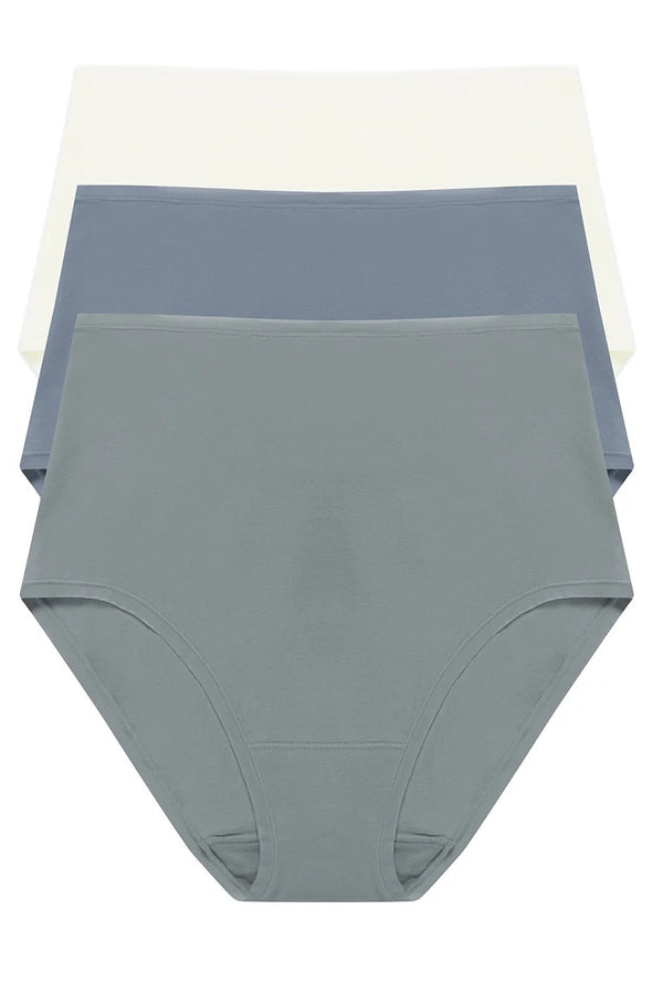 Natori Bliss Bare Cotton High Waist Brief 3-pack