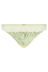 Chantelle Legend Thong