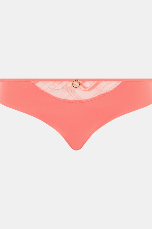 Chantelle Graphic Support Brief