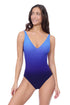 Gottex Profile by Gottex Splendor Ombre V Neck One Piece
