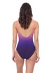 Gottex Profile by Gottex Splendor Ombre V Neck One Piece