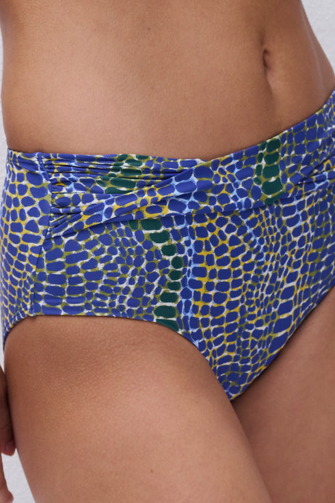Femilet Taula Full Brief