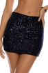 Luli Fama Chasing Stars Sequins Mini Skirt