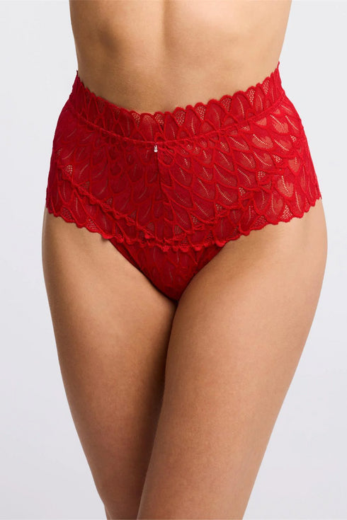 Montelle Lacy High Waist Brief