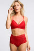 Montelle Lacy High Waist Brief