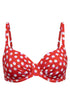 Rosch Beach Bikini Top