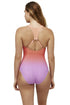 Gottex Free Sport Nixie Scoop Neck One Piece