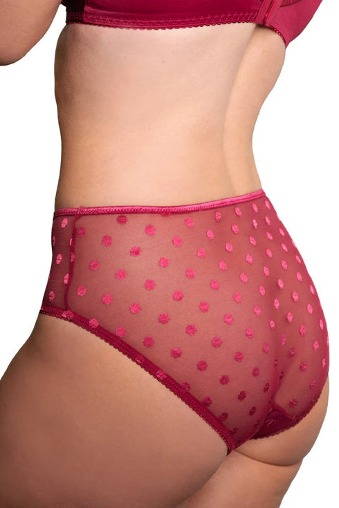 Fit Fully Yours Carmen High Rise Brief