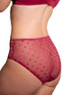 Fit Fully Yours Carmen High Rise Brief
