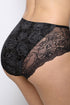 Orhideja Full Brief