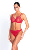 Lise Charmel H72 Source Beaute Fancy Brief