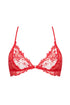 Lise Charmel H72 Source Beaute Non Wire Bra