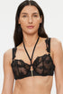 Aubade Queen Of Shadow Underwired Demi Bra